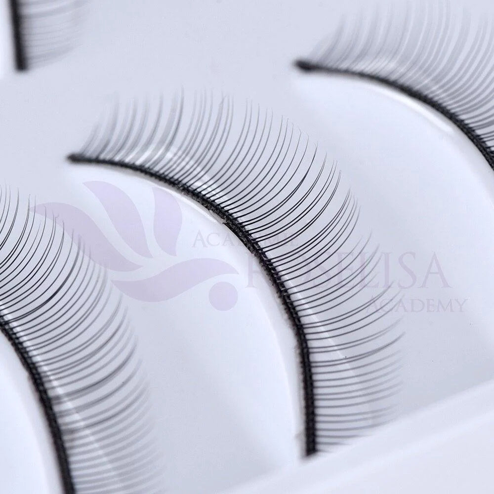 CILS PRATIQUE